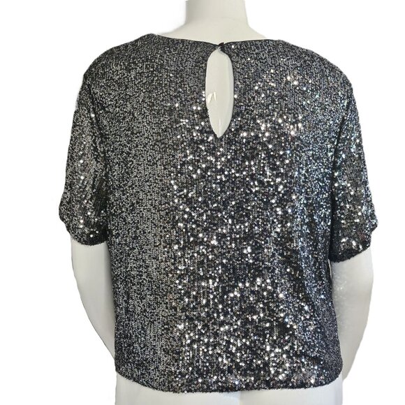 Rock & Shine by Reitmans Silver Short -Sleeved Sequin Top Size XXL - Picture 2 of 9